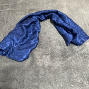 Elegant Blue Scarf